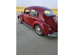 1961 Volkswagen Beetle (CC-2095140) for sale in Cadillac, Michigan