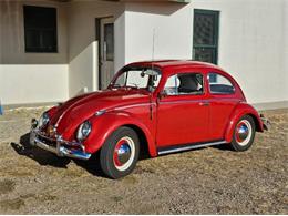 1961 Volkswagen Beetle (CC-2095140) for sale in Cadillac, Michigan