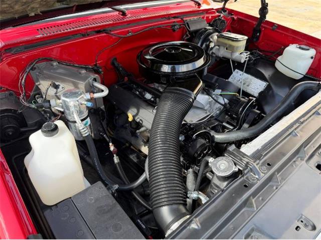 1985 Chevrolet C10 (CC-2095153) for sale in Cadillac, Michigan