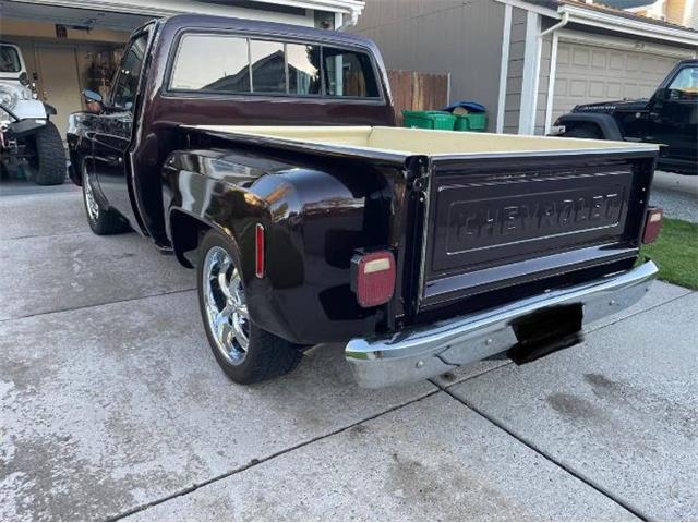 1978 Chevrolet C10 (CC-2095156) for sale in Cadillac, Michigan