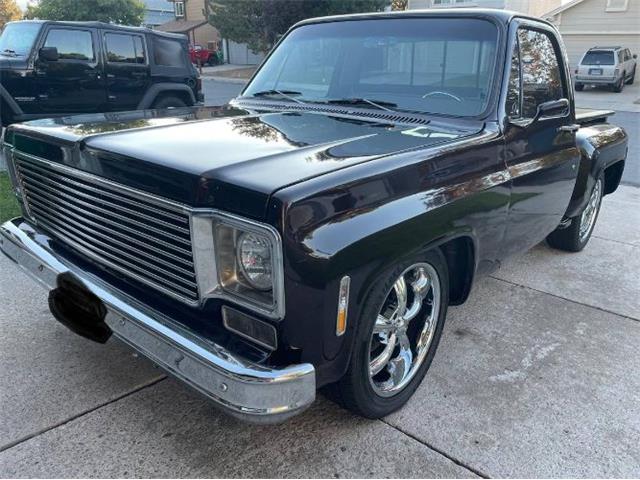 1978 Chevrolet C10 (CC-2095156) for sale in Cadillac, Michigan