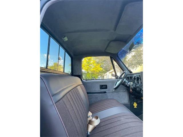 1978 Chevrolet C10 (CC-2095156) for sale in Cadillac, Michigan