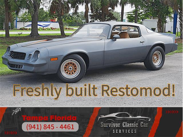 1979 Chevrolet Camaro (CC-2095160) for sale in Palmetto, Florida