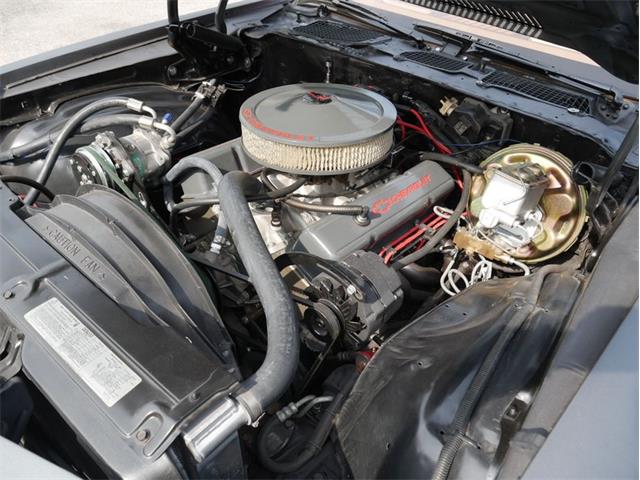 1979 Chevrolet Camaro (CC-2095160) for sale in Palmetto, Florida