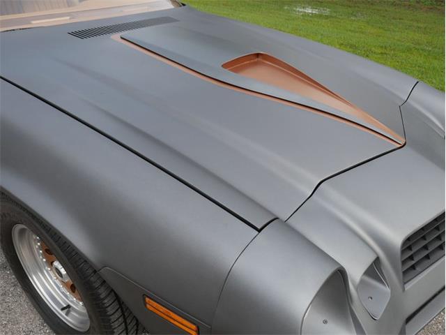 1979 Chevrolet Camaro (CC-2095160) for sale in Palmetto, Florida
