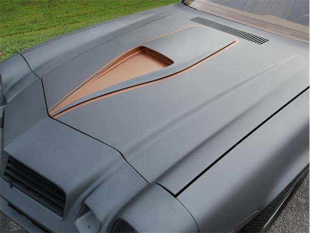 1979 Chevrolet Camaro (CC-2095160) for sale in Palmetto, Florida