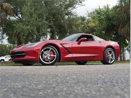 2014 Chevrolet Corvette (CC-2095167) for sale in Palmetto, Florida