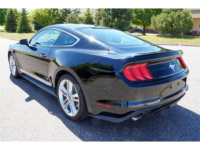 2019 Ford Mustang (CC-2095189) for sale in Ramsey, Minnesota