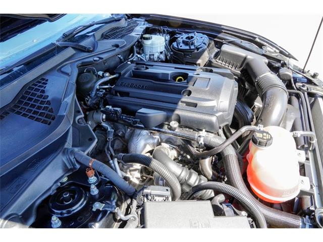2019 Ford Mustang (CC-2095189) for sale in Ramsey, Minnesota