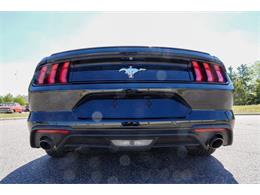 2019 Ford Mustang (CC-2095189) for sale in Ramsey, Minnesota