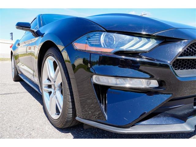 2019 Ford Mustang (CC-2095189) for sale in Ramsey, Minnesota