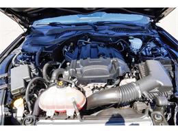 2019 Ford Mustang (CC-2095189) for sale in Ramsey, Minnesota