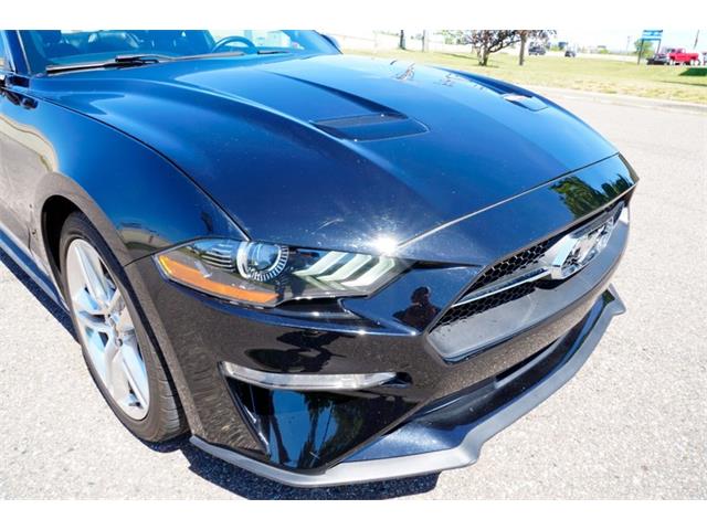 2019 Ford Mustang (CC-2095189) for sale in Ramsey, Minnesota