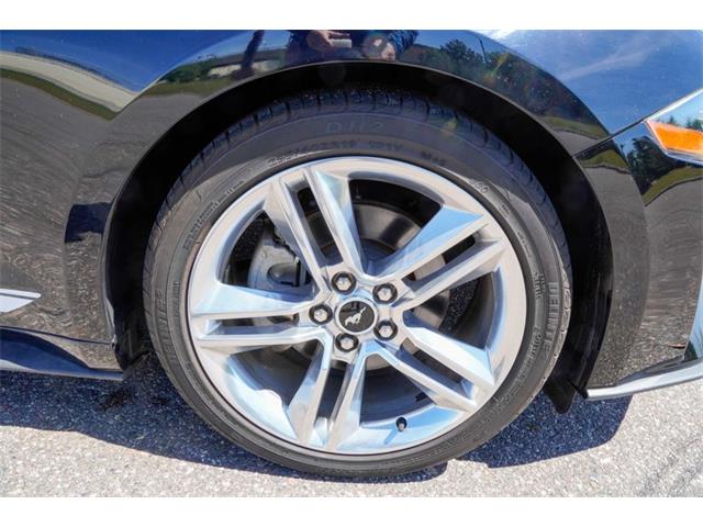 2019 Ford Mustang (CC-2095189) for sale in Ramsey, Minnesota