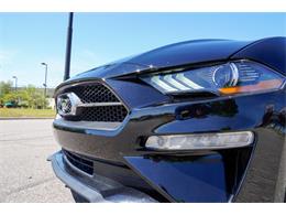 2019 Ford Mustang (CC-2095189) for sale in Ramsey, Minnesota