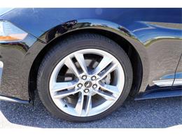 2019 Ford Mustang (CC-2095189) for sale in Ramsey, Minnesota