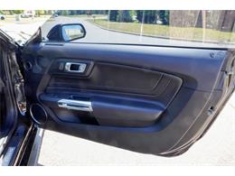 2019 Ford Mustang (CC-2095189) for sale in Ramsey, Minnesota