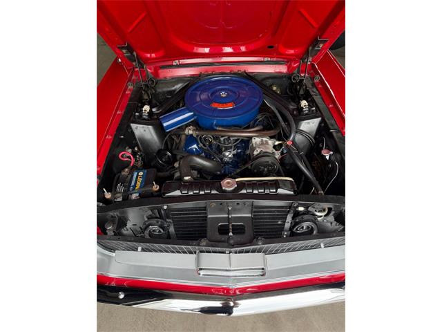 1967 Ford Mustang (CC-2095254) for sale in Springfield, Massachusetts