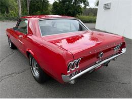 1967 Ford Mustang (CC-2095254) for sale in Springfield, Massachusetts