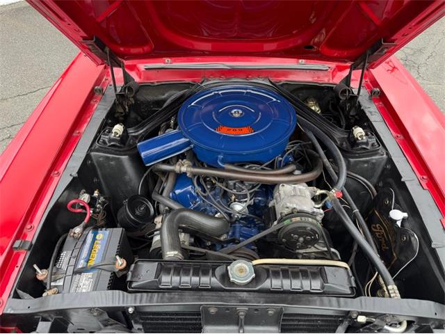 1967 Ford Mustang (CC-2095254) for sale in Springfield, Massachusetts