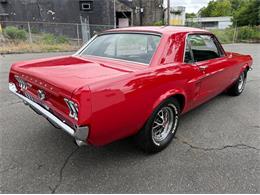 1967 Ford Mustang (CC-2095254) for sale in Springfield, Massachusetts