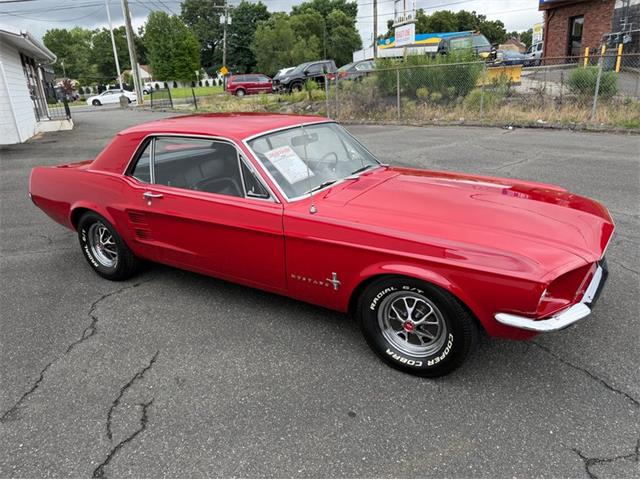 1967 Ford Mustang (CC-2095254) for sale in Springfield, Massachusetts