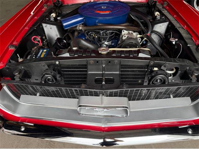 1967 Ford Mustang (CC-2095254) for sale in Springfield, Massachusetts
