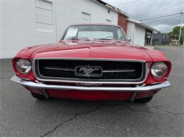 1967 Ford Mustang (CC-2095254) for sale in Springfield, Massachusetts