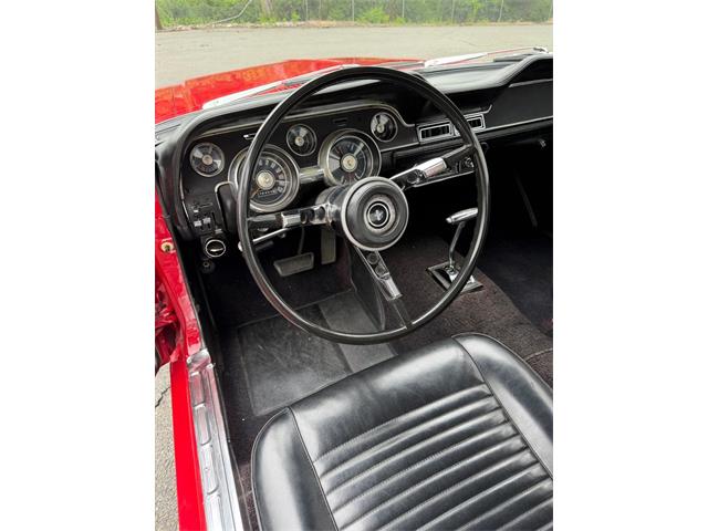 1967 Ford Mustang (CC-2095254) for sale in Springfield, Massachusetts