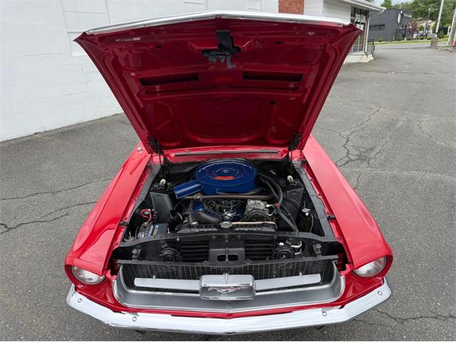 1967 Ford Mustang (CC-2095254) for sale in Springfield, Massachusetts