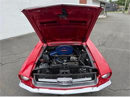 1967 Ford Mustang (CC-2095254) for sale in Springfield, Massachusetts