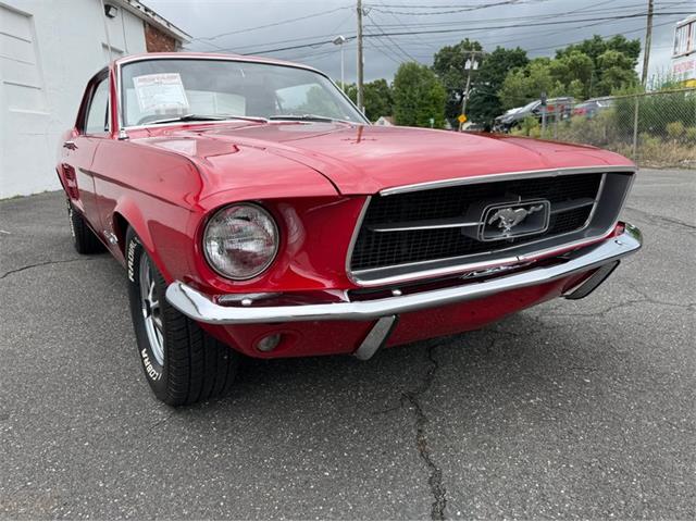 1967 Ford Mustang (CC-2095254) for sale in Springfield, Massachusetts