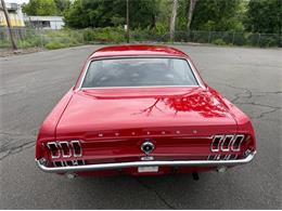 1967 Ford Mustang (CC-2095254) for sale in Springfield, Massachusetts