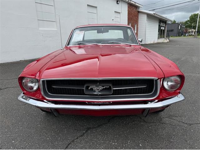 1967 Ford Mustang (CC-2095254) for sale in Springfield, Massachusetts