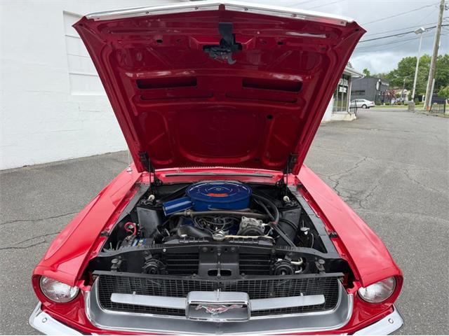 1967 Ford Mustang (CC-2095254) for sale in Springfield, Massachusetts