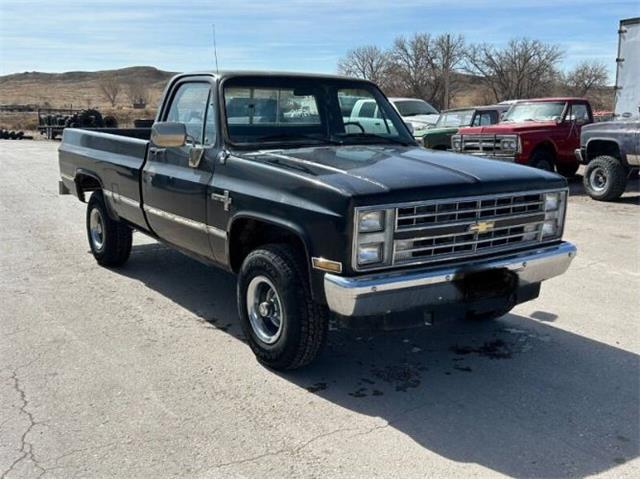 1985 Chevrolet C10 (CC-2095350) for sale in Cadillac, Michigan