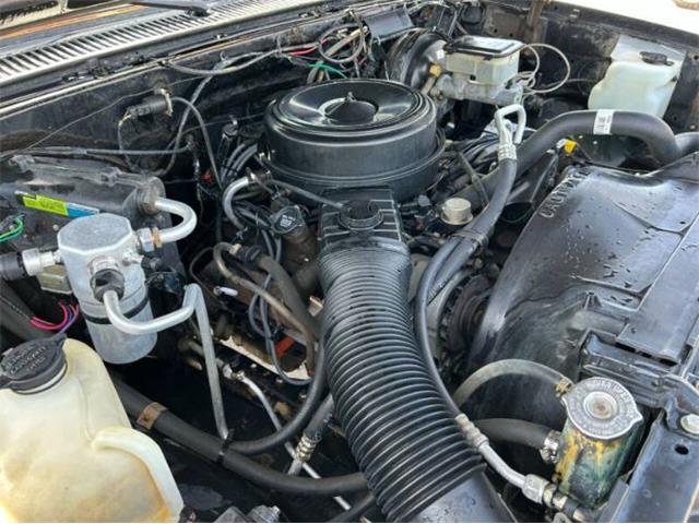 1985 Chevrolet C10 (CC-2095350) for sale in Cadillac, Michigan