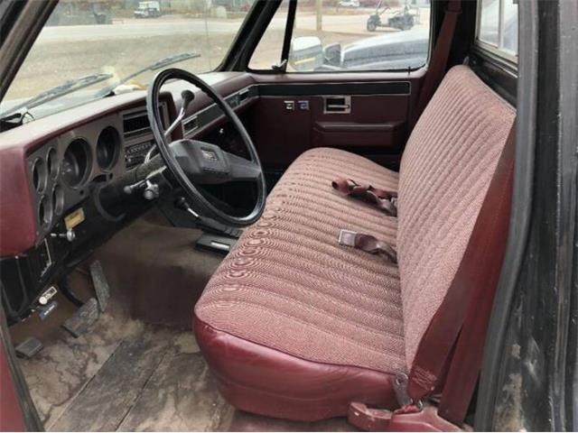 1985 Chevrolet C10 (CC-2095350) for sale in Cadillac, Michigan