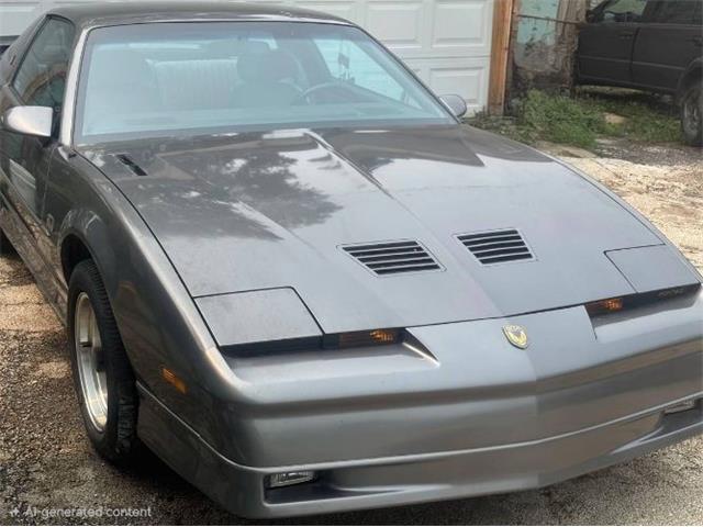 1989 Pontiac Firebird Trans Am (CC-2095360) for sale in Cadillac, Michigan
