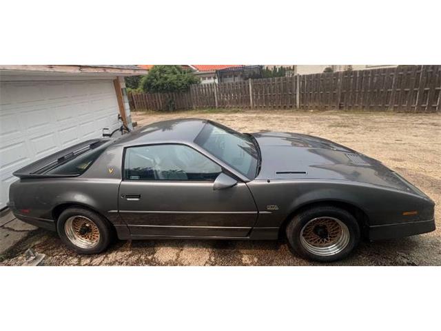 1989 Pontiac Firebird Trans Am (CC-2095360) for sale in Cadillac, Michigan