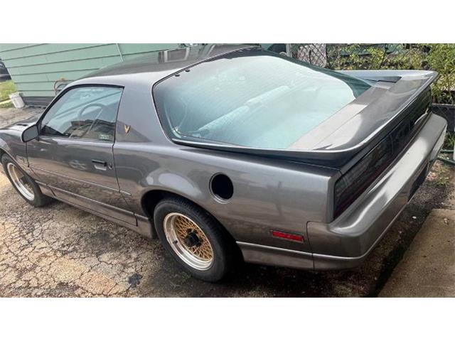 1989 Pontiac Firebird Trans Am (CC-2095360) for sale in Cadillac, Michigan
