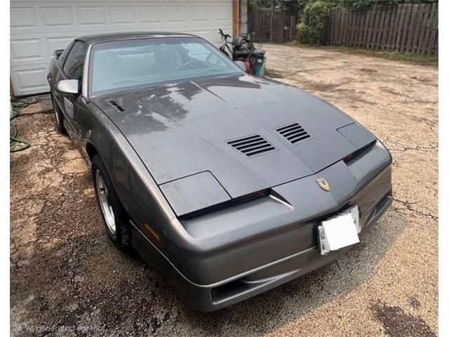 1989 Pontiac Firebird Trans Am (CC-2095360) for sale in Cadillac, Michigan
