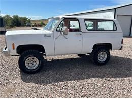 1975 Chevrolet Blazer (CC-2095367) for sale in Cadillac, Michigan