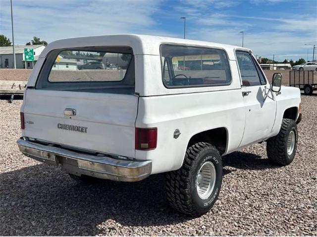 1975 Chevrolet Blazer (CC-2095367) for sale in Cadillac, Michigan