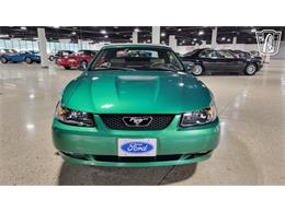 1999 Ford Mustang GT (CC-2095388) for sale in Dearborn, Michigan