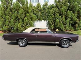 1967 Pontiac GTO (CC-2095497) for sale in Milford City, Connecticut