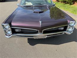 1967 Pontiac GTO (CC-2095497) for sale in Milford City, Connecticut