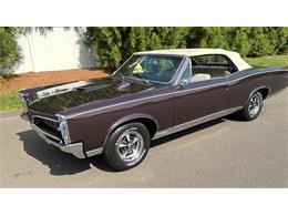 1967 Pontiac GTO (CC-2095497) for sale in Milford City, Connecticut
