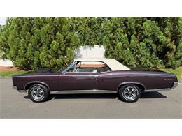1967 Pontiac GTO (CC-2095497) for sale in Milford City, Connecticut