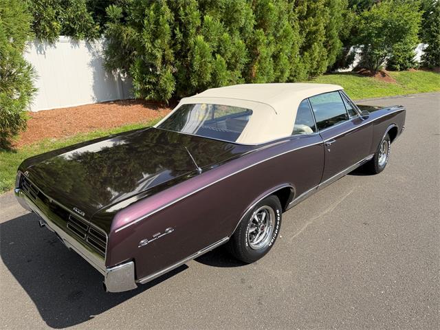 1967 Pontiac GTO (CC-2095497) for sale in Milford City, Connecticut